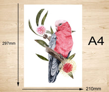 Load image into Gallery viewer, Galah Art Print Front Silken Twine Art Print