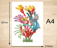 Load image into Gallery viewer, Kangaroo Paws Art Print Silken Twine Art Print