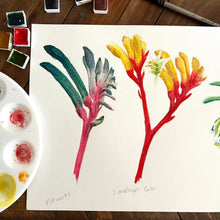 Load image into Gallery viewer, Kangaroo Paws Art Print Silken Twine Art Print