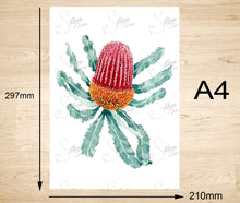 Load image into Gallery viewer, Firewood Banksia Art Print Silken Twine Art Print