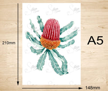 Load image into Gallery viewer, Firewood Banksia Art Print Silken Twine Art Print