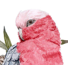 Load image into Gallery viewer, Galah Art Print Front Silken Twine Art Print