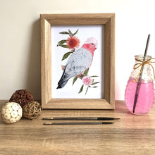 Load image into Gallery viewer, Galah Art Print Right Silken Twine Art Print