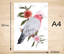 Load image into Gallery viewer, Galah Art Print Right Silken Twine Art Print