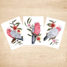 Load image into Gallery viewer, Galah Art Print set of 3 Silken Twine Art Print