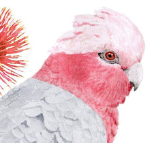 Load image into Gallery viewer, Galah Art Print set of 3 Silken Twine Art Print