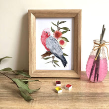 Load image into Gallery viewer, Galah Art Print set of 3 Silken Twine Art Print