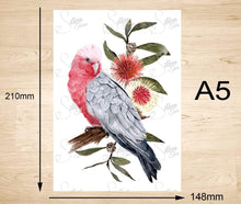 Load image into Gallery viewer, Galah Art Print set of 3 Silken Twine Art Print