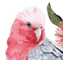Load image into Gallery viewer, Galah Art Print set of 3 Silken Twine Art Print