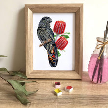 Load image into Gallery viewer, Red Tailed Black Cockatoo Female Art Print Silken Twine Art Print