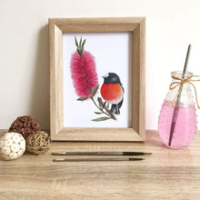 Load image into Gallery viewer, Scarlet Robin Art Print Front Silken Twine Art Print