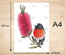 Load image into Gallery viewer, Scarlet Robin Art Print Front Silken Twine Art Print