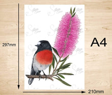 Load image into Gallery viewer, Scarlet Robin Art Print Left Silken Twine Art Print