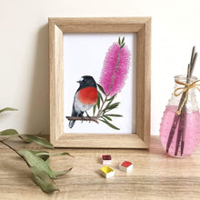 Load image into Gallery viewer, Scarlet Robin Art Print Left Silken Twine Art Print