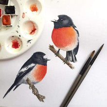 Load image into Gallery viewer, Scarlet Robin Art Print set of 3 Silken Twine Art Print