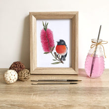 Load image into Gallery viewer, Scarlet Robin Art Print set of 3 Silken Twine Art Print