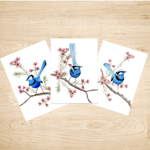Load image into Gallery viewer, Splendid Blue Wren Prints set of 3 Silken Twine Art Print