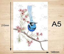 Load image into Gallery viewer, Splendid Blue Wren Prints set of 3 Silken Twine Art Print