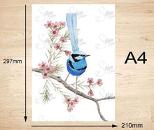 Load image into Gallery viewer, Splendid Blue Wren Prints set of 3 Silken Twine Art Print