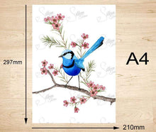 Load image into Gallery viewer, Splendid Blue Wren Prints set of 3 Silken Twine Art Print