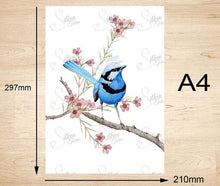 Load image into Gallery viewer, Splendid Blue Wren Prints set of 3 Silken Twine Art Print