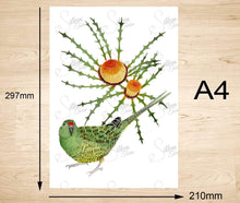 Load image into Gallery viewer, Western Ground Parrot Art Print "Saving Kyloring" Silken Twine Art Print