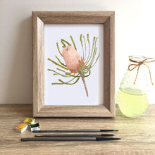 Load image into Gallery viewer, Woolly Orange Banksia Art Print Silken Twine Art Print