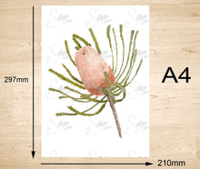 Load image into Gallery viewer, Woolly Orange Banksia Art Print Silken Twine Art Print