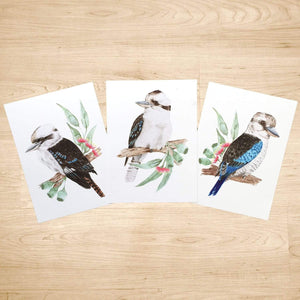 Kookaburra Art Prints set of 3 Silken Twine Art Print