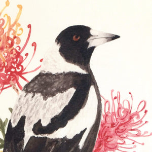 Magpie and Grevillea Cushion Cover Side Cotton Drill
