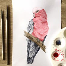 Load image into Gallery viewer, Pink and Grey Galah&#39;s Cushion Cover Cotton Drill Silken Twine Cushion Cover