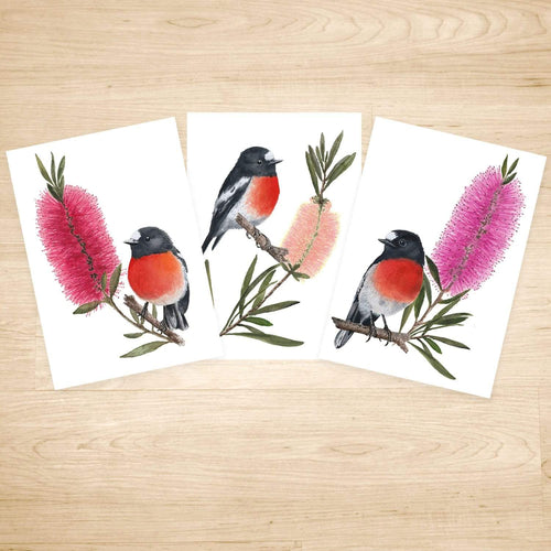 Scarlet Robin Art Print set of 3 Silken Twine Art Print