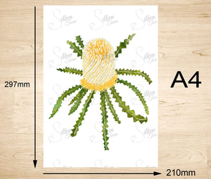 Showy Banksia Art Print Silken Twine Art Print