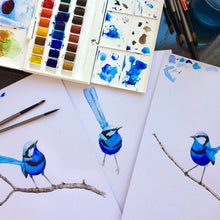 Load image into Gallery viewer, Splendid Blue Wren Print (Front) Silken Twine Art Print