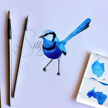 Load image into Gallery viewer, Splendid Blue Wren Print (Left) Silken Twine Art Print