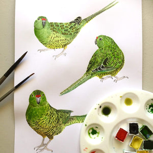 Western Ground Parrot Art Print "Saving Kyloring" Silken Twine Art Print