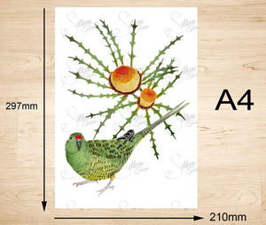 Western Ground Parrot Art Print "Saving Kyloring" Silken Twine Art Print