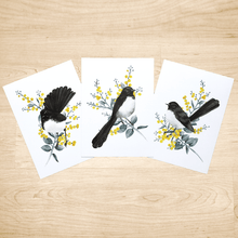 Load image into Gallery viewer, Willie Wagtail Print set of 3 Silken Twine Art Print